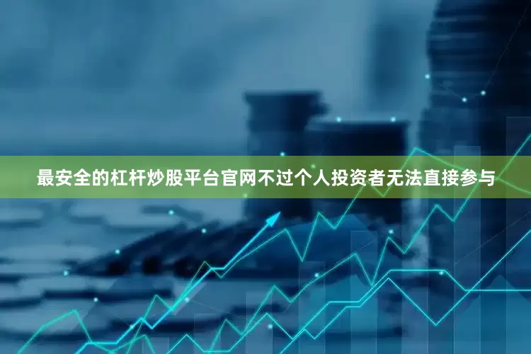 最安全的杠杆炒股平台官网不过个人投资者无法直接参与