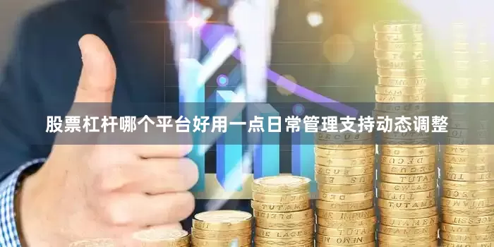 股票杠杆哪个平台好用一点日常管理支持动态调整