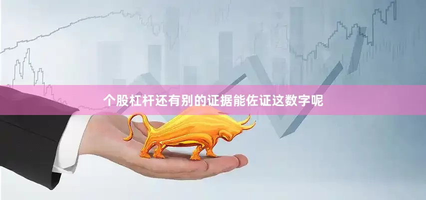 个股杠杆还有别的证据能佐证这数字呢